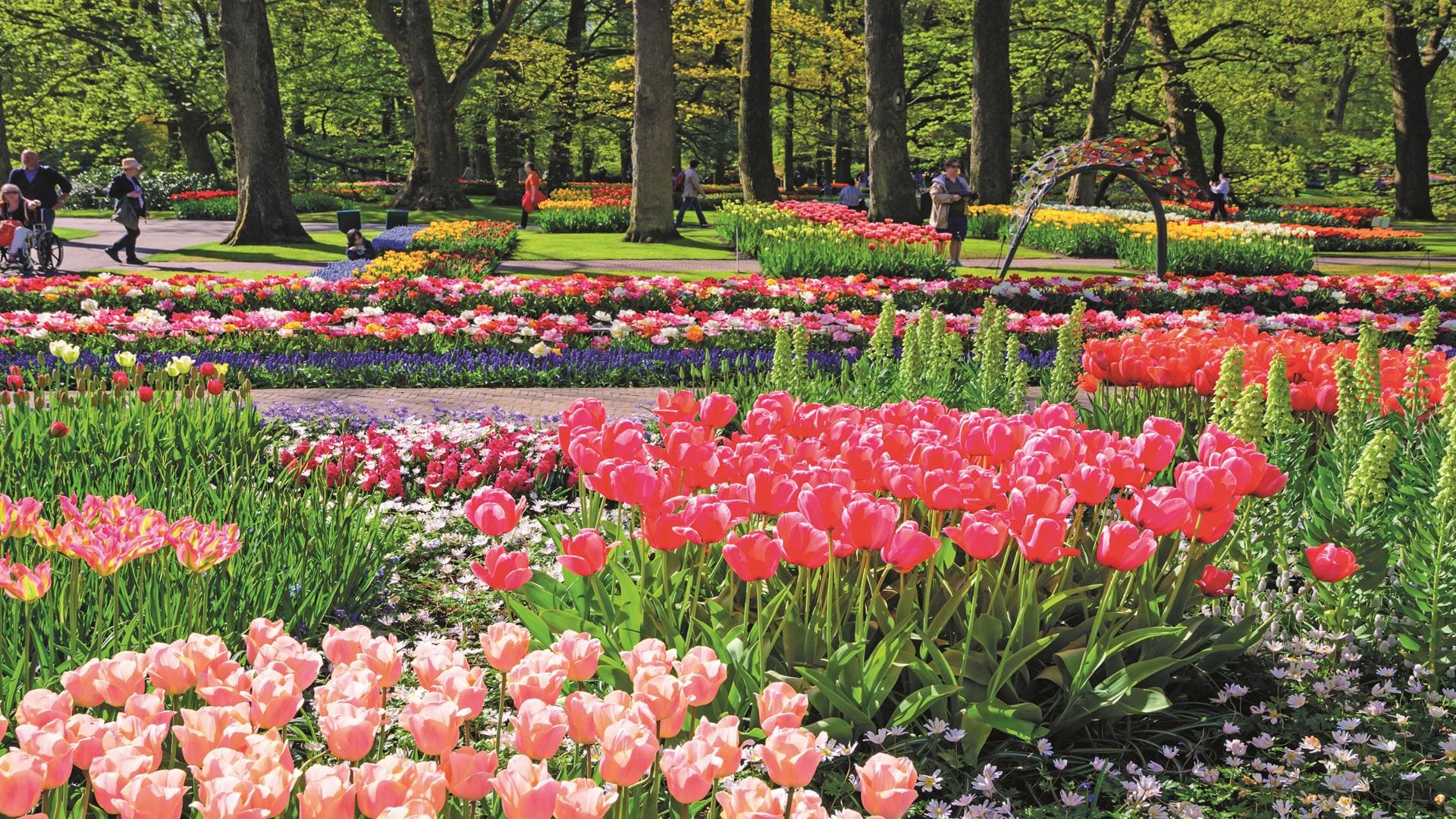 Springtime in Holland River Cruise Keukenhof Gardens